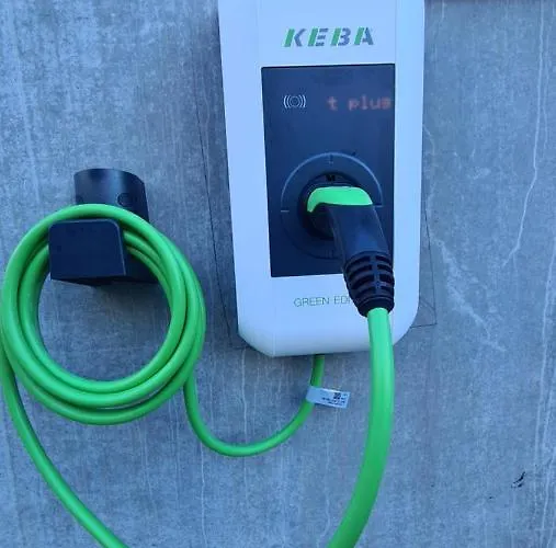 Apartman Petit Paradisli *